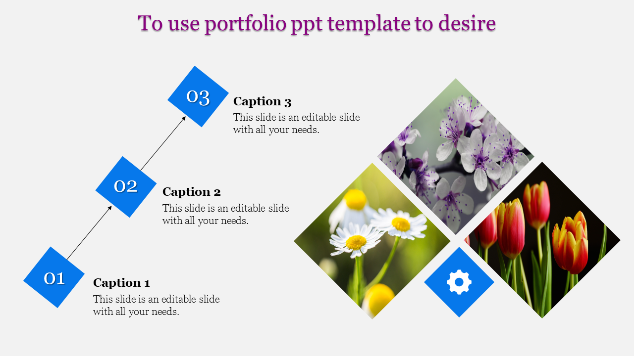 Get Portfolio PPT Template and Google Slide Themes